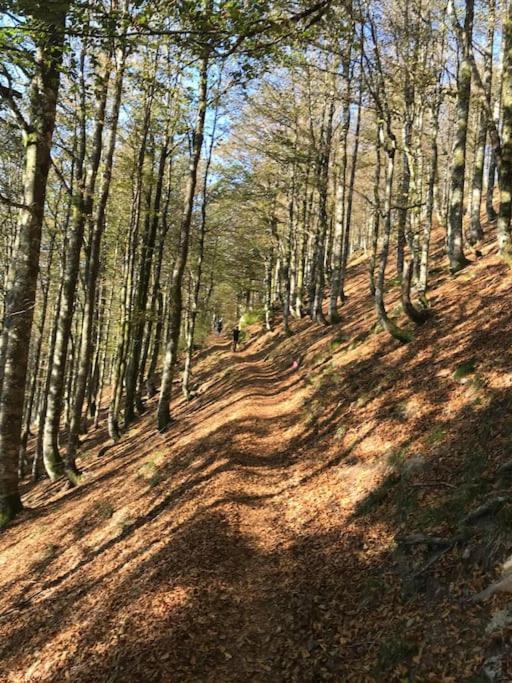 La Magie Entre Deux Lacs Gérardmer Exterior foto