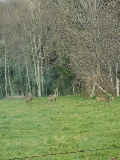 La Magie Entre Deux Lacs Gérardmer Exterior foto